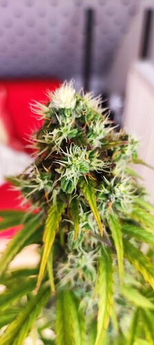 Growreport Bild 18