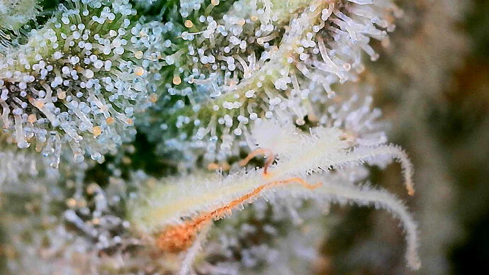 Growreport Bild 18
