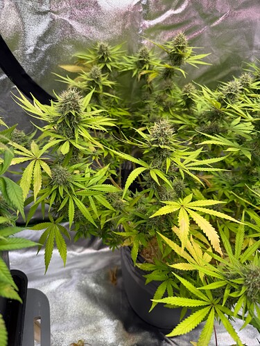 Growreport Bild 8