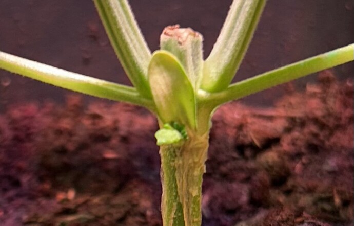 Growreport Bild 10