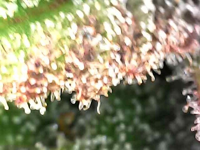 Photo_2024-04-21 11_37_20_578