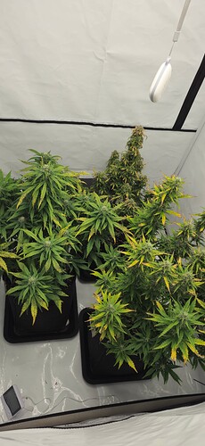 Growreport Bild 12