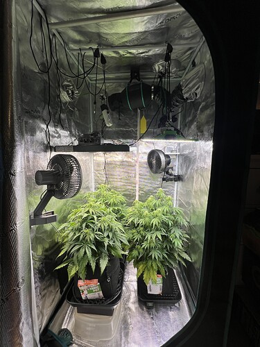 Growreport Bild 8