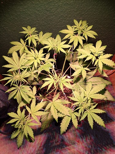 Growreport Bild 16