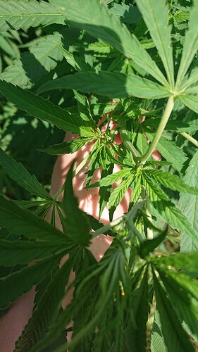 Growreport Bild 24