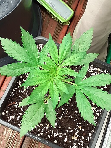 Growreport Bild 22