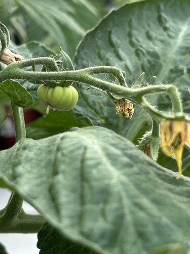 Growreport Bild 7