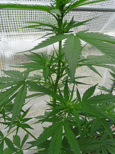 Growreport Bild 12