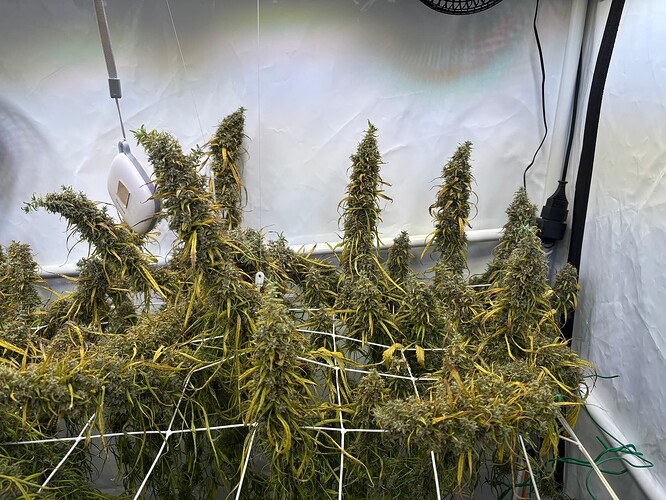Growreport Bild 4