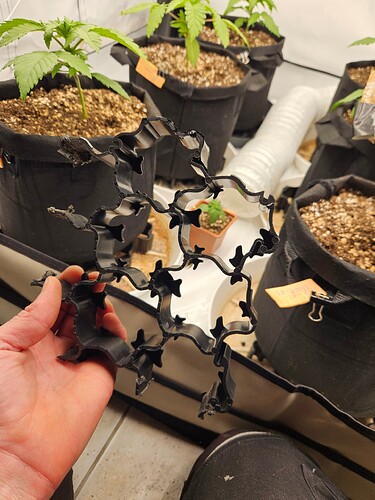 Growreport Bild 8
