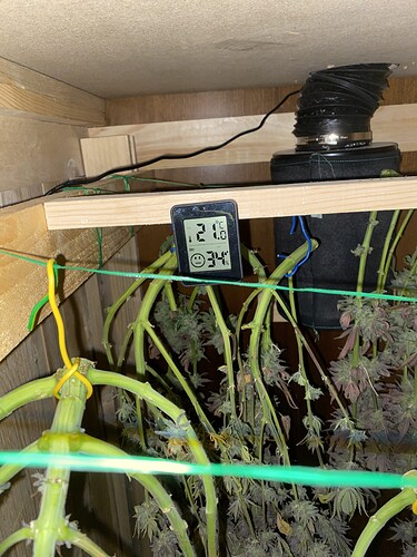 Growreport Bild 33