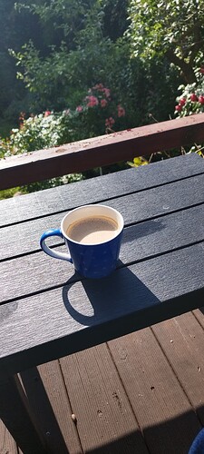Growreport Bild 1
