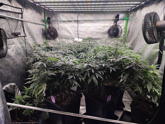 Growreport Bild 2