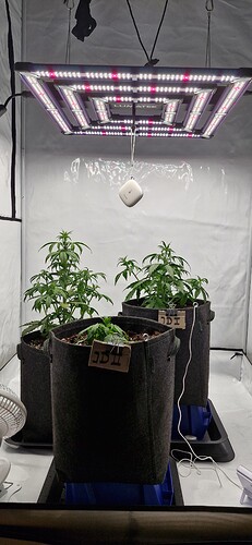 Growreport Bild 5