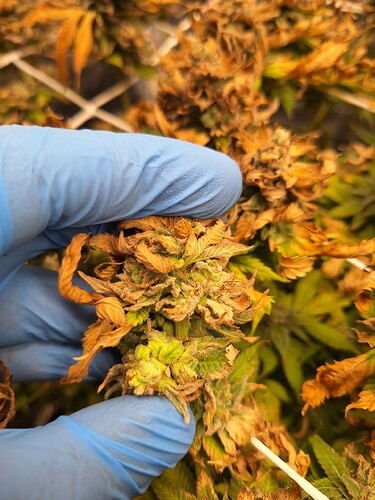 Growreport Bild 11