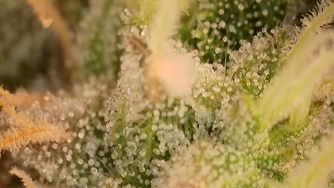 2025-10-22-075253455