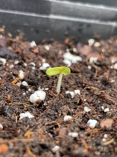 Growreport Bild 12