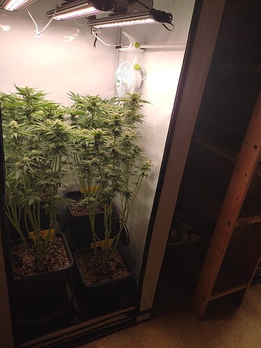 Growreport Bild 25