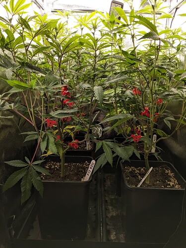 PXL_20240531_151410295