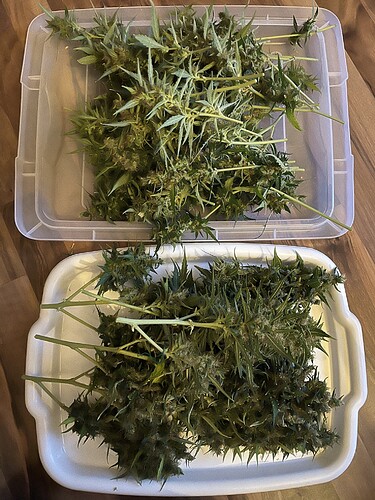 Growreport Bild 3