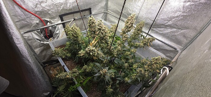 Growreport Bild 5