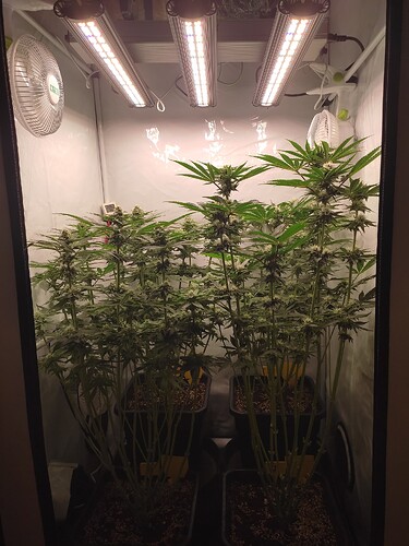 Growreport Bild 21