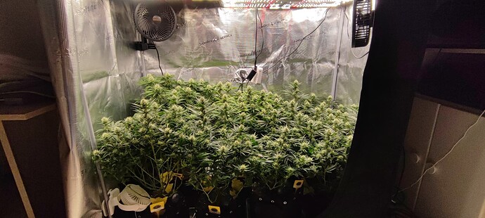 Growreport Bild 14