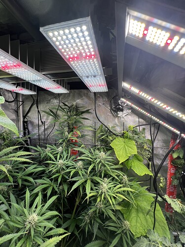 Growreport Bild 5