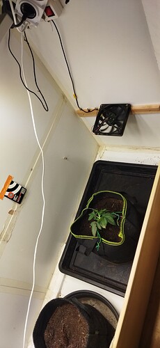 Growreport Bild 19