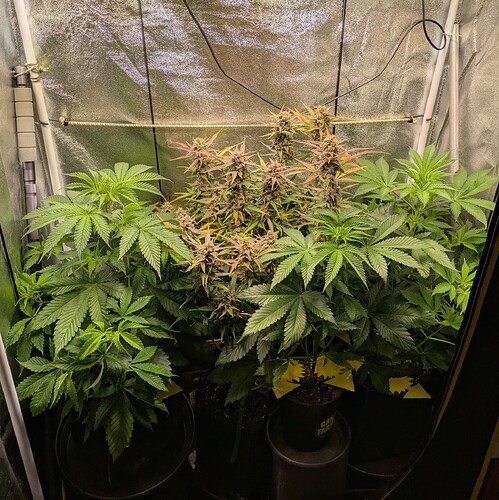 Growreport Bild 20