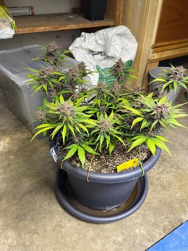 Growreport Bild 12