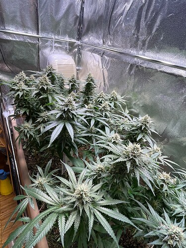 Growreport Bild 8