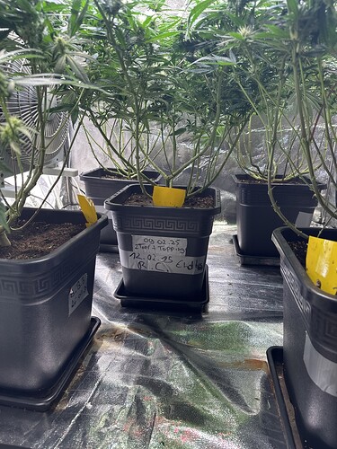 Growreport Bild 42