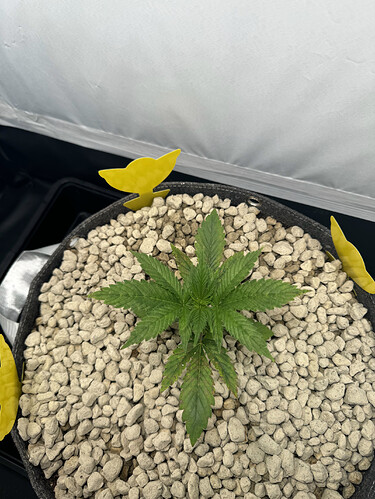 20240424_042943281_iOS