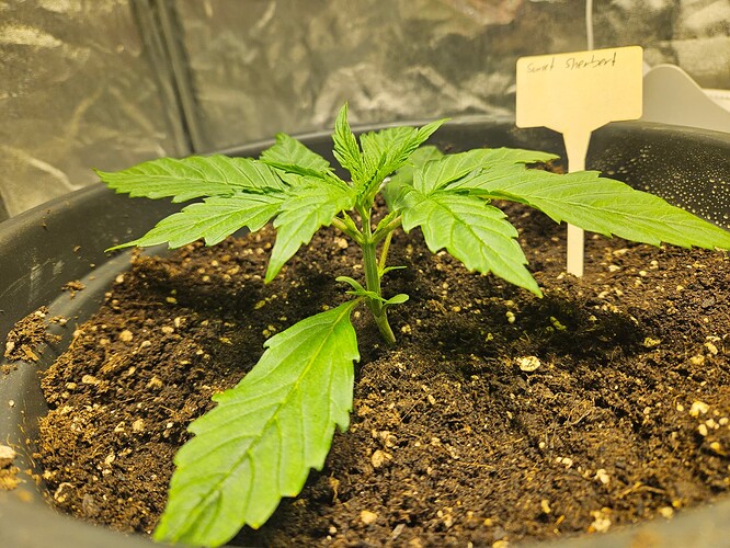 Growreport Bild 25