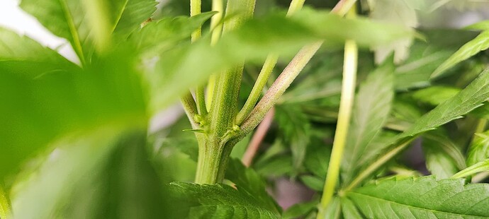 Growreport Bild 6