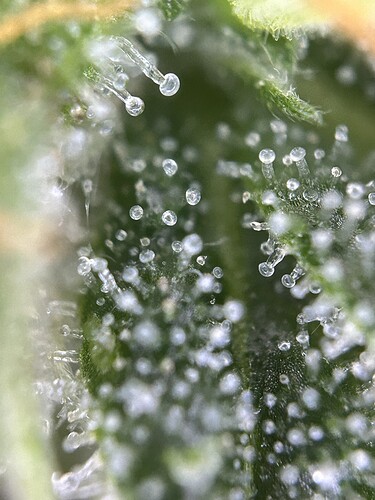 Growreport Bild 10