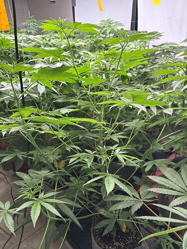 Growreport Bild 18