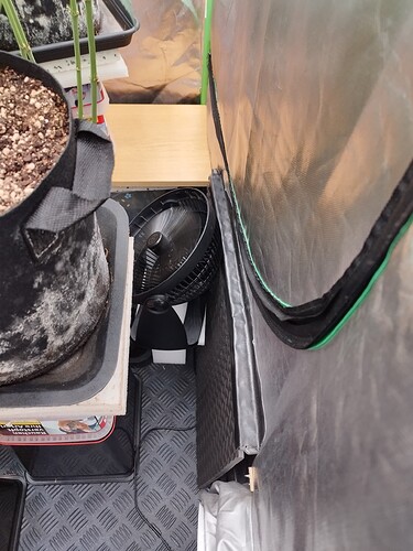 Ein Stofftopf mit Erde und einer jungen Pflanze steht neben einem Ventilator in einer Growbox.