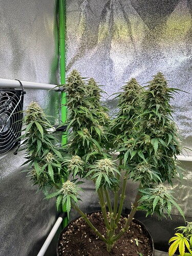 Growreport Bild 10