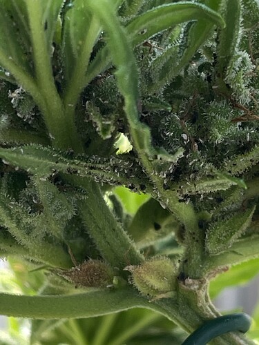 Growreport Bild 5