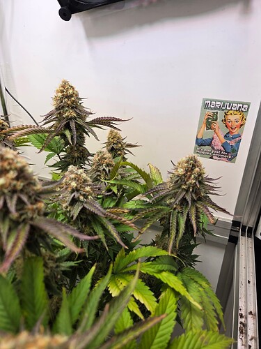Growreport Bild 8