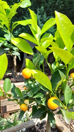 Growreport Bild 30