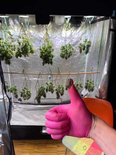 Growreport Bild 10