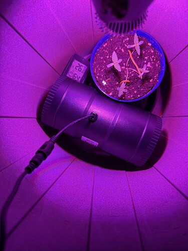 Growreport Bild 45