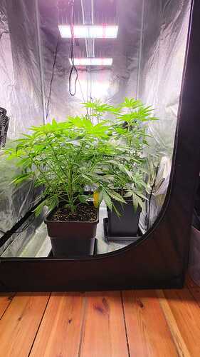 Growreport Bild 11