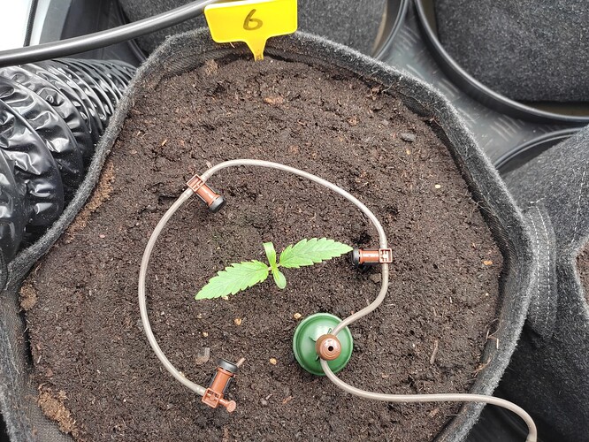 Growreport Bild 27