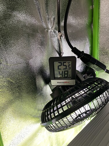 Growreport Bild 25