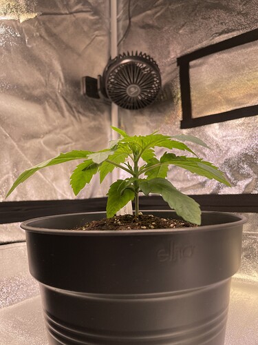Growreport Bild 25
