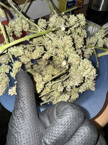 Growreport Bild 6